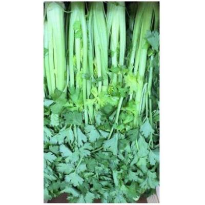 中国芹菜 1箱/6kg