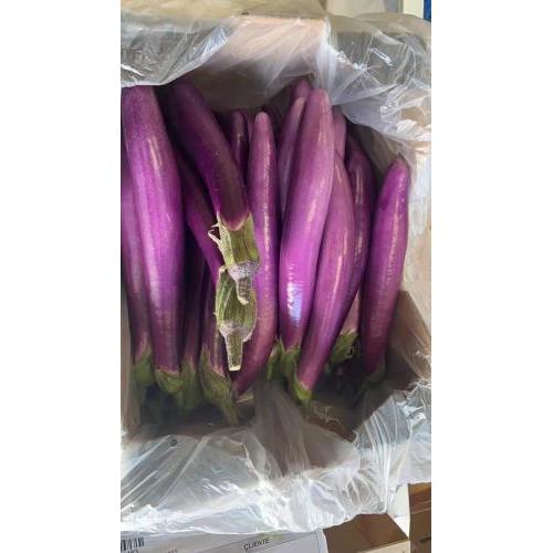 长茄子  大箱 1箱约7kg