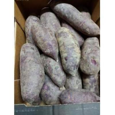 紫番薯 1箱约6公斤