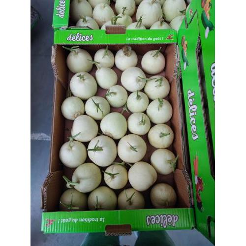 白玉甜瓜/香瓜 约10kg