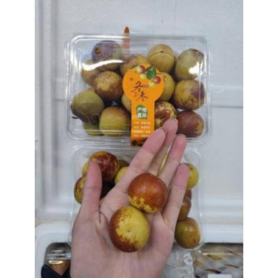 新鲜冬枣 1箱 500gX14