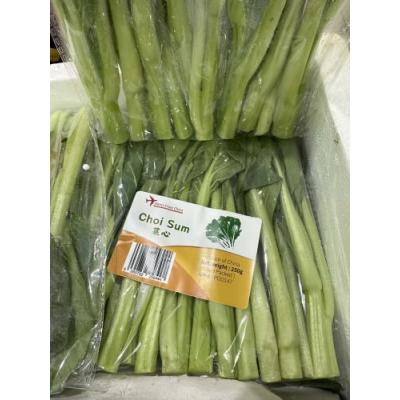 中国空运 菜心  袋装 1包约250g ( 整箱购买 £2.90一包，20包一箱）