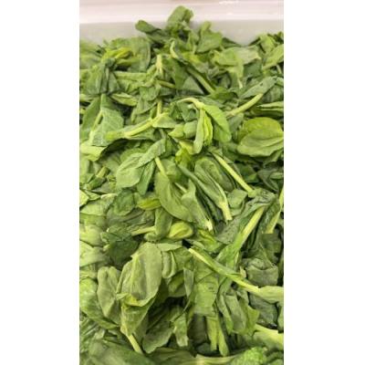 中国空运 豆苗 包装 1箱 150gX20