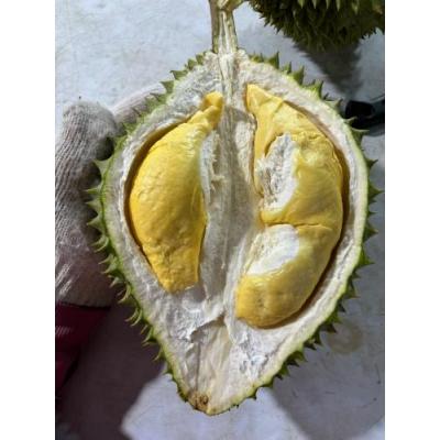 越南空运 RI6 整个榴莲 1箱约12kg(约4到6个）