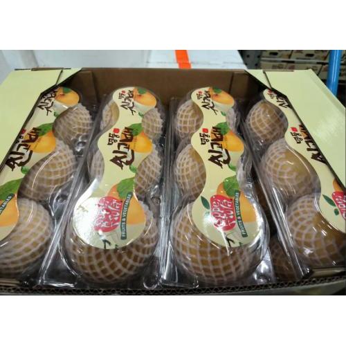 新鲜韩国梨 3个装 一箱 (3个*8盒)