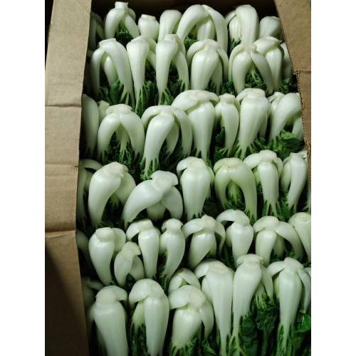 新鲜 本地农场白菜 1箱约4kg