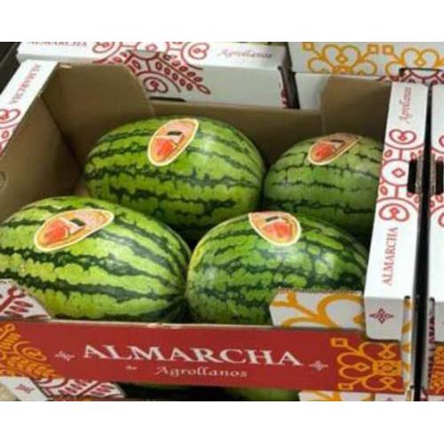 西班牙 西瓜 1箱 4个（约20公斤）