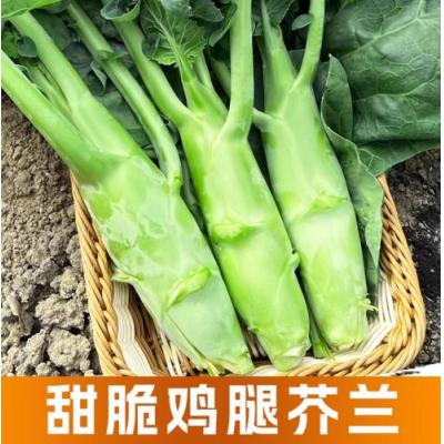 新鲜 脆甜鸡腿芥兰 4公斤