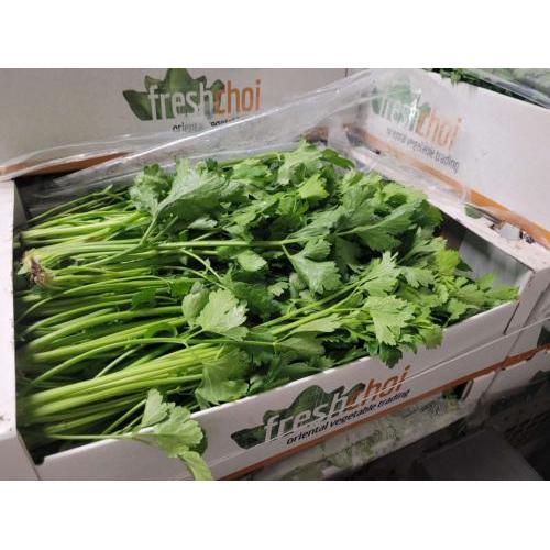 中国芹菜 5kg