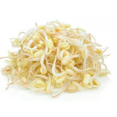 绿豆芽菜  约4KG/包 请周一下单