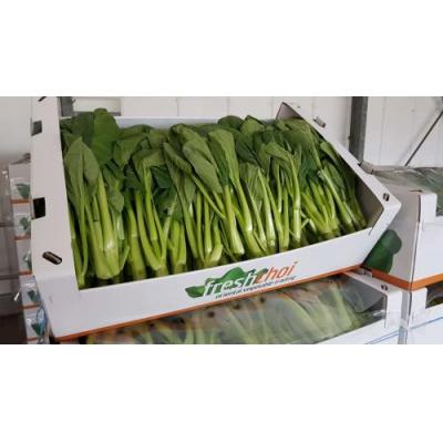 靓菜心 1箱约8kg