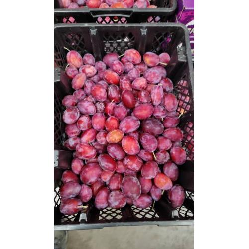 超甜红西梅 1箱约4.5kg
