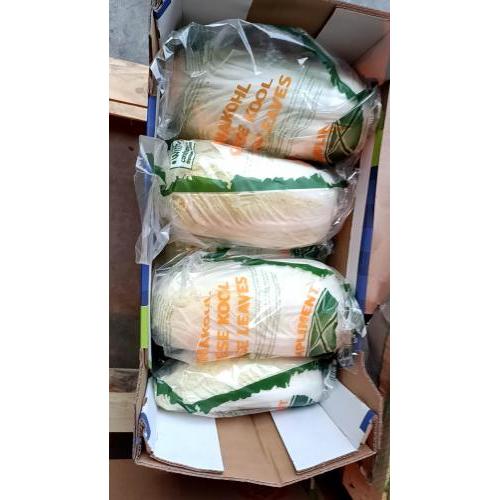 欧洲大白菜 1箱8棵 较大