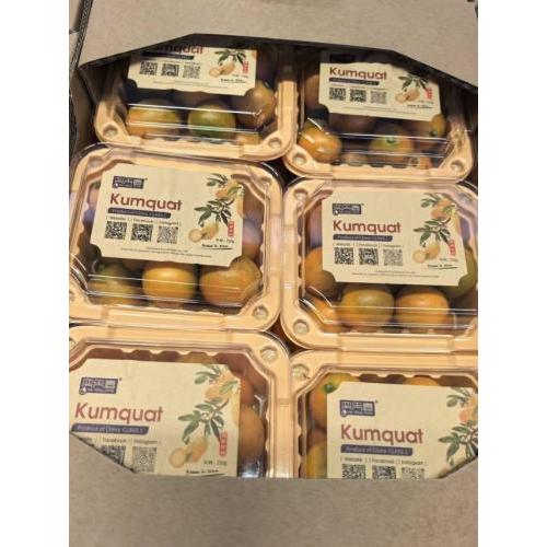 新鲜 脆蜜金桔 1箱 250gX12