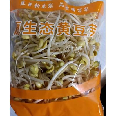新鲜 黄豆芽 400g